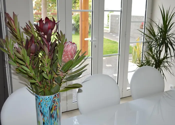 Jasmineiro * פונשל